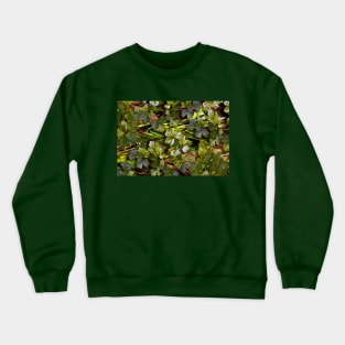 Abstract Parsley Composition Crewneck Sweatshirt